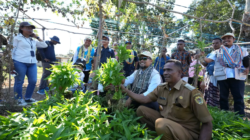 PLN Peduli Hadirkan Air Bersih dan Kebun Komunal di Naioni, 34 Rumah Kini Terlayani