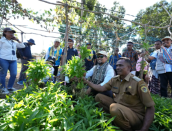 PLN Peduli Hadirkan Air Bersih dan Kebun Komunal di Naioni, 34 Rumah Kini Terlayani
