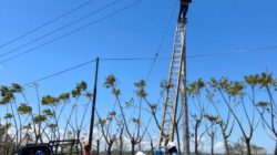 Impian Terang Dusun V Desa Laindeha Segera Terwujud, Listrik PLN Siap Melayani Warga