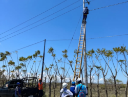 Impian Terang Dusun V Desa Laindeha Segera Terwujud, Listrik PLN Siap Melayani Warga
