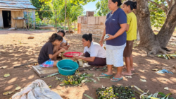 Menyiram Asa ,Nian Tana Sikka: Kolaborasi PLN dan Petani Desa Hoder Lewat Program Electrifying Agriculture