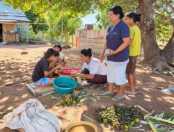 Menyiram Asa ,Nian Tana Sikka: Kolaborasi PLN dan Petani Desa Hoder Lewat Program Electrifying Agriculture
